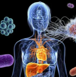 Absorption (First Use)